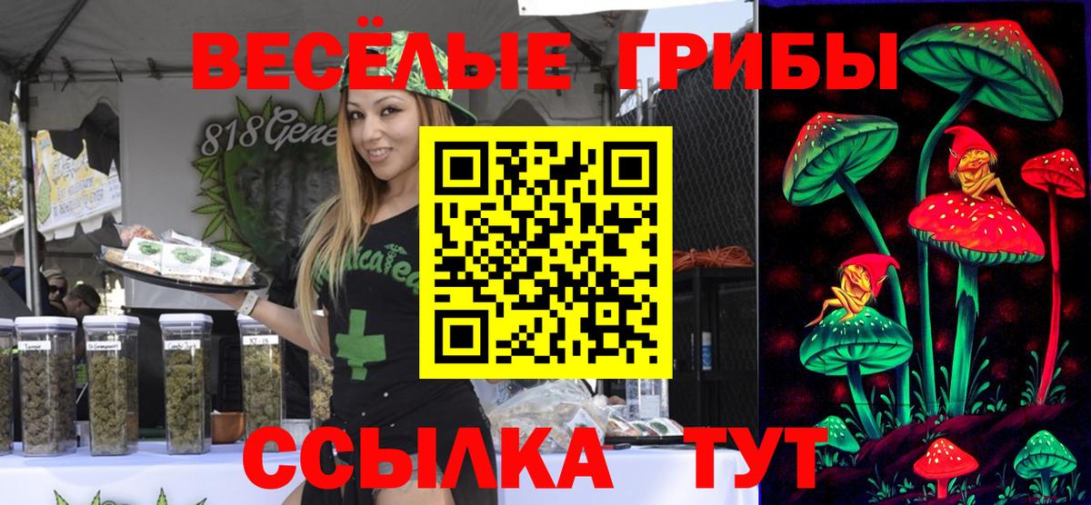 Псилоцибиновые грибы мицелий  цены   Кириши  Вход с VPN 